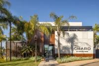 Chard (2).jpeg